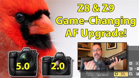 z8games|Z8 – Gathering To Change Culture.